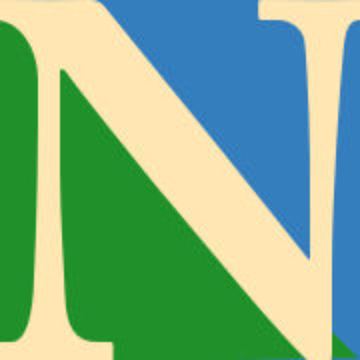 Icône du site