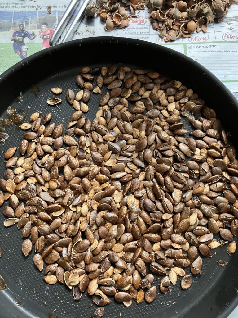 graines de butternut grillées