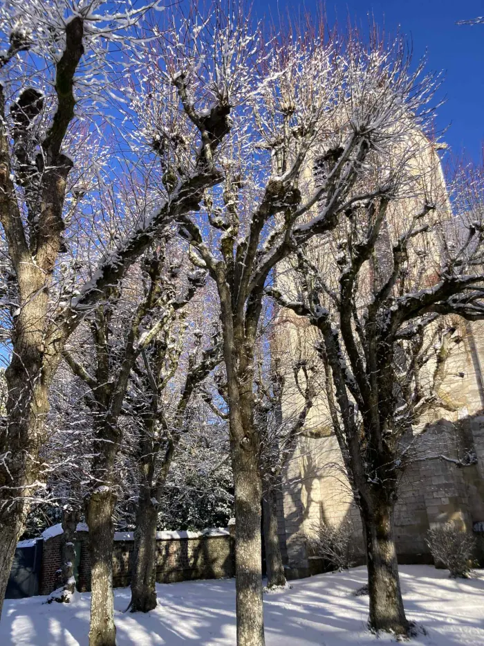 Dans la commune de La Saussaye