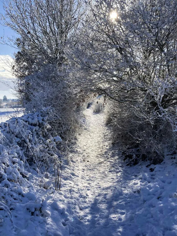 Campagne de La Saussaye