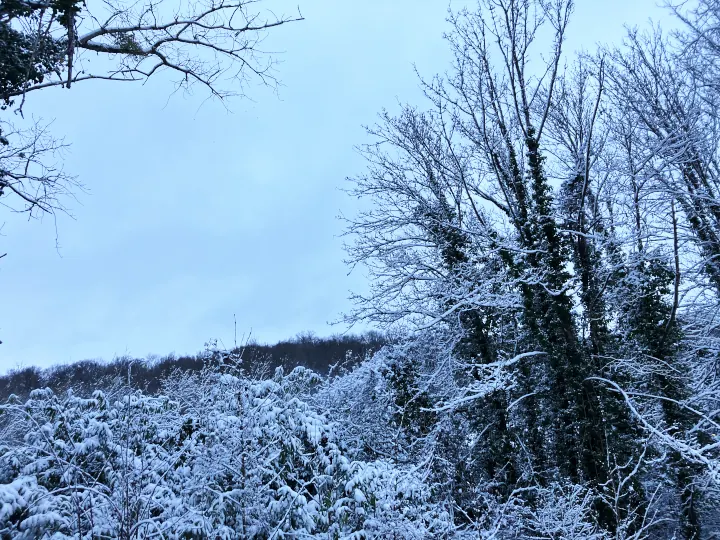 neige elbeuf-sur-seine